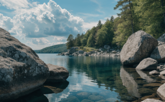 Why Quality Mental Health Services Matter for Long Term Wellness
